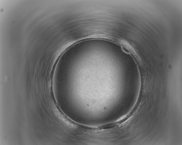 X0000067511284200604101246