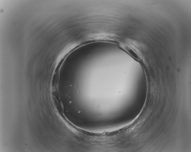 X0000067511285200604101246