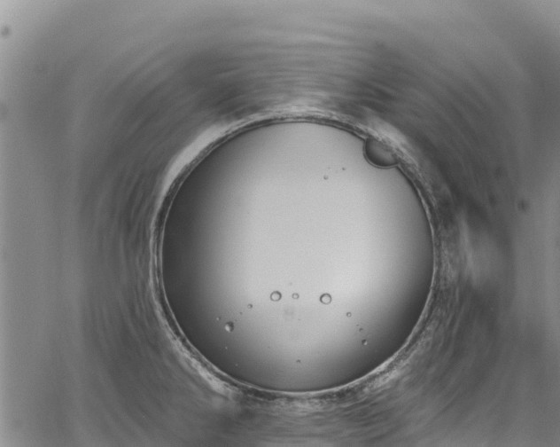 X0000067511286200604101246