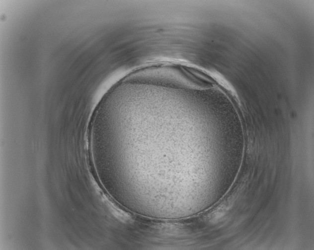 X0000067511287200604101246