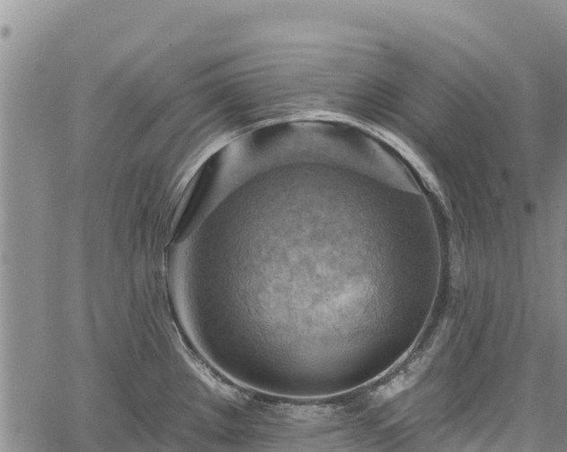 X0000067511289200604101246