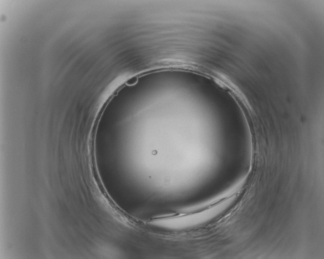 X0000067511291200604101246