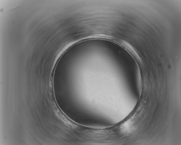 X0000067511292200604101246