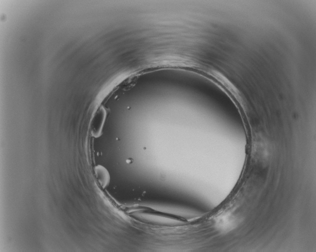 X0000067511293200604101246