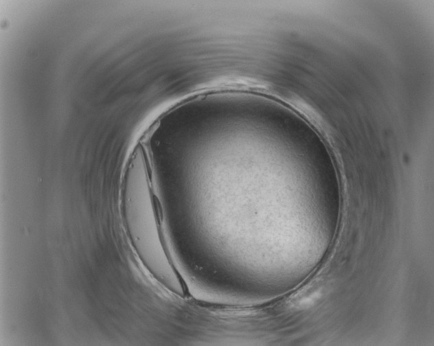 X0000067511296200604101246