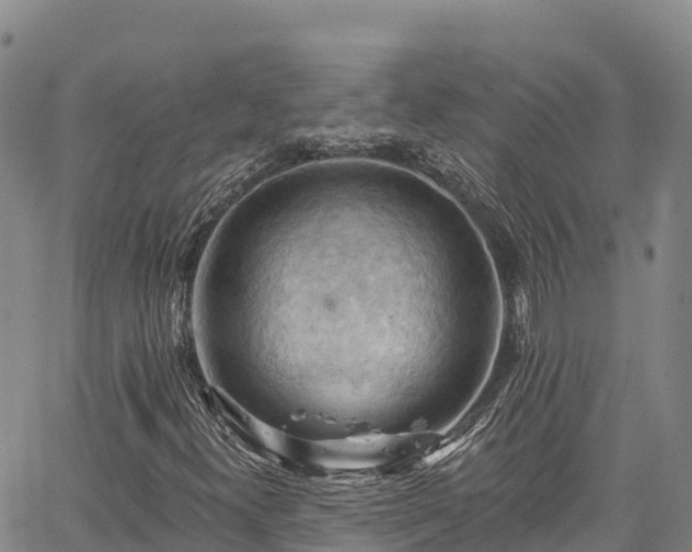 X0000067511300200604101245