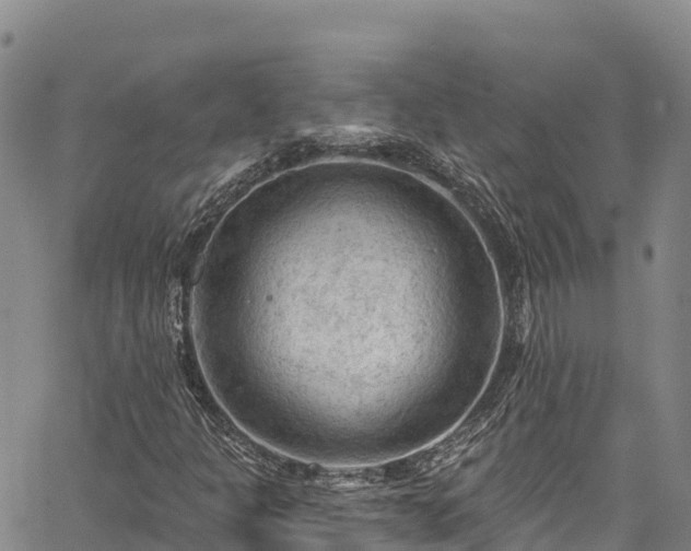 X0000067511301200604101245