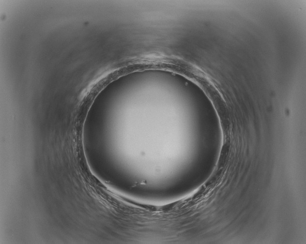 X0000067511304200604101245