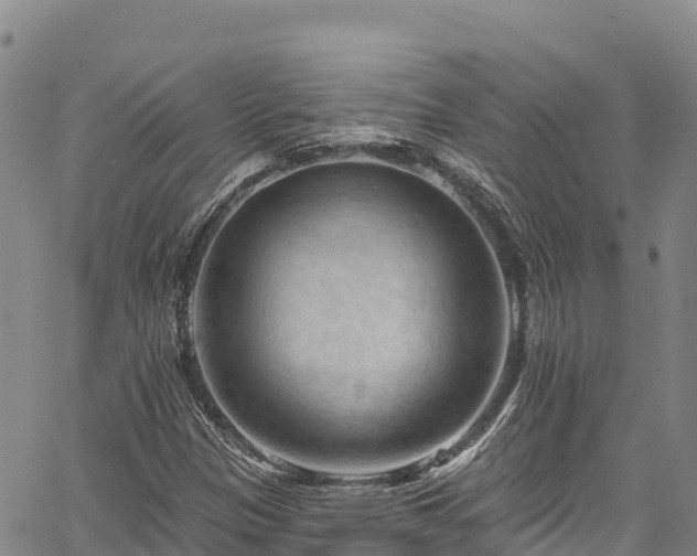 X0000067511305200604101245