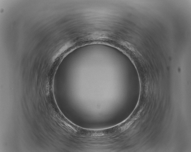 X0000067511306200604101245