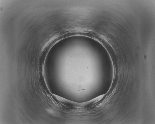 X0000067511307200604101245