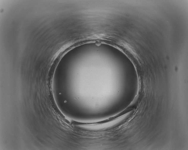 X0000067511308200604101245