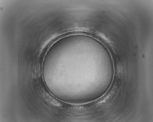 X0000067511310200604101245