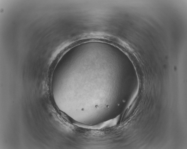 X0000067511312200604101245