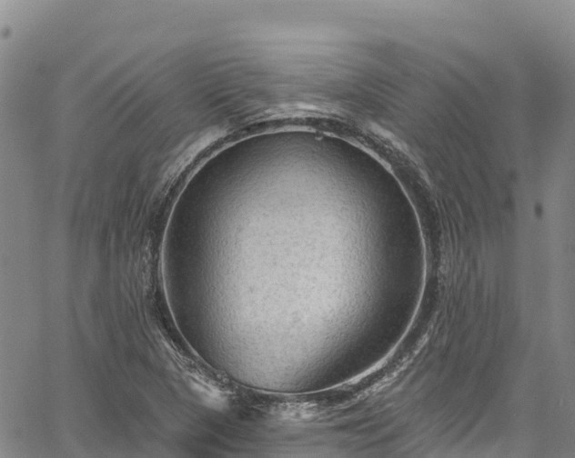 X0000067511313200604101245