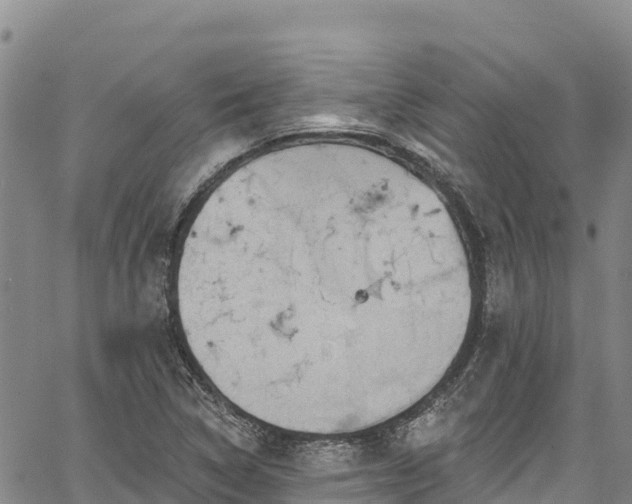 X0000067511314200604101246