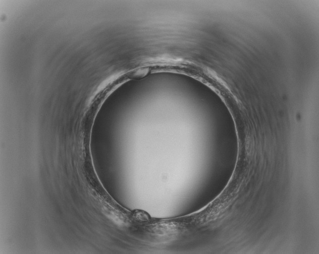 X0000067511315200604101246