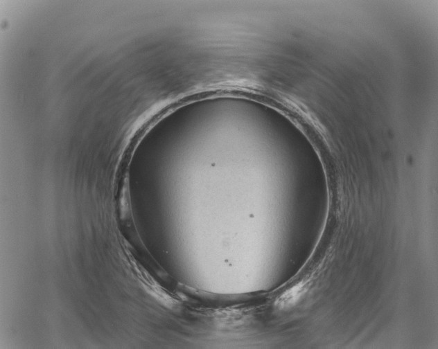 X0000067511316200604101246