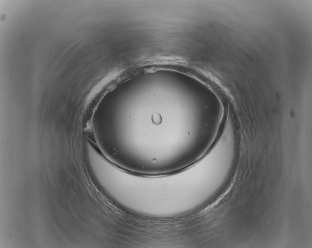 X0000067511317200604101246