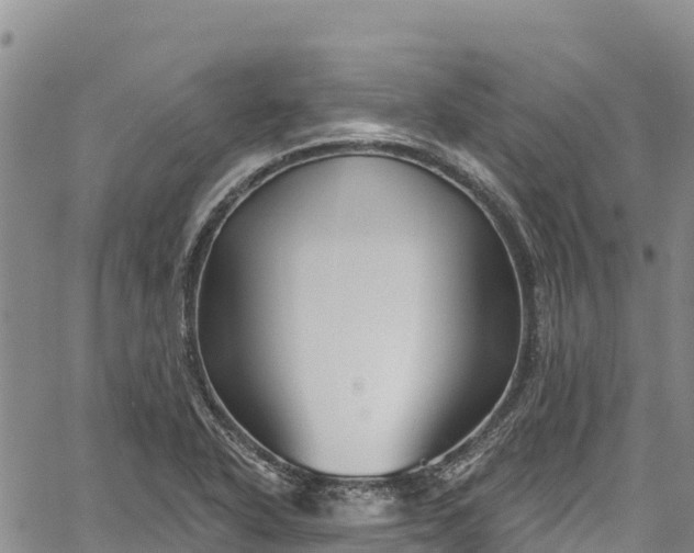 X0000067511318200604101246