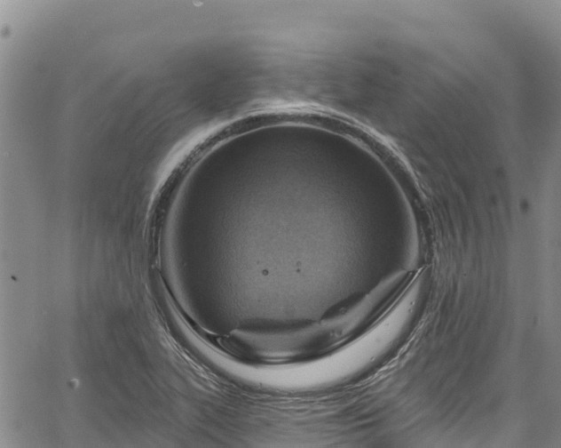 X0000067511319200604101246