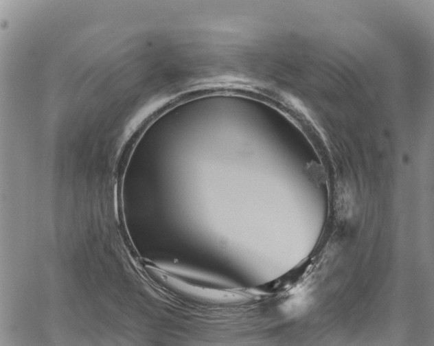 X0000067511320200604101246