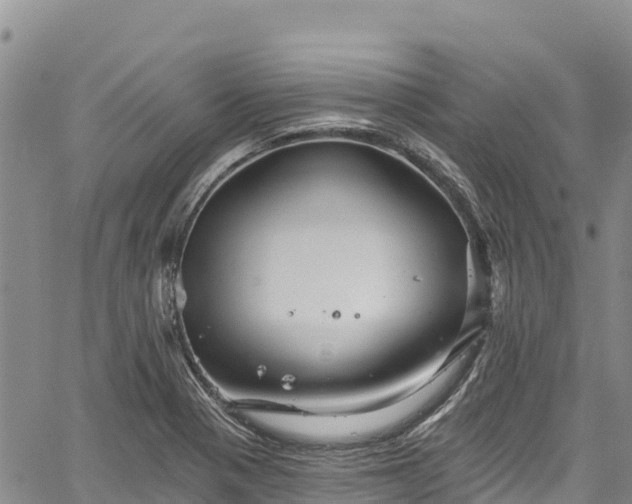 X0000067511321200604101246