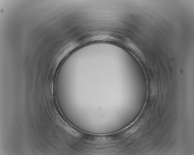 X0000067511322200604101246