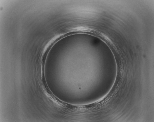 X0000067511323200604101246