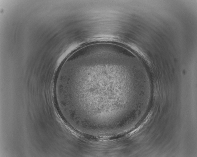 X0000067511325200604101246