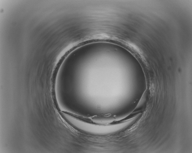 X0000067511326200604101246