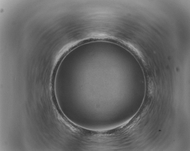 X0000067511327200604101246