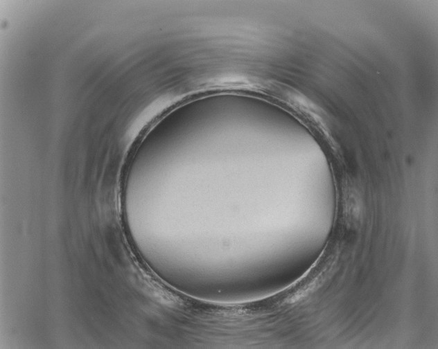 X0000067511328200604101246