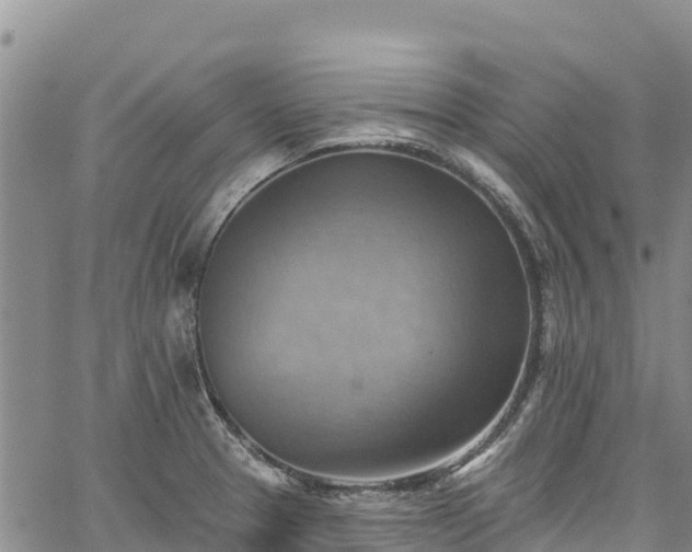 X0000067511329200604101246