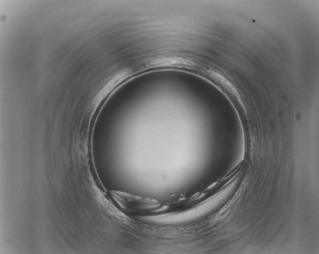 X0000067511330200604101246