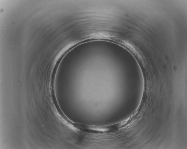 X0000067511331200604101246