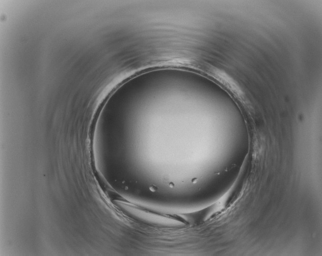 X0000067511332200604101246