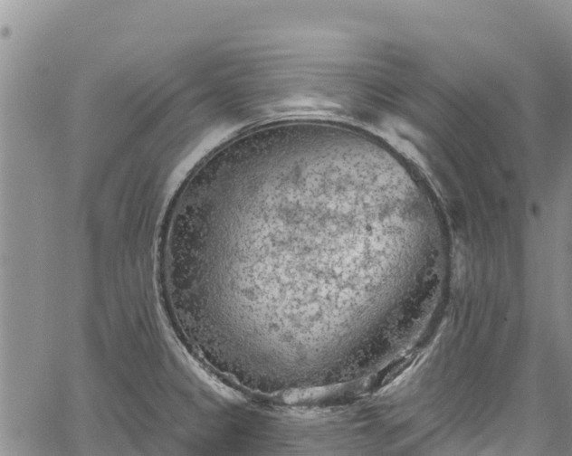 X0000067511333200604101246