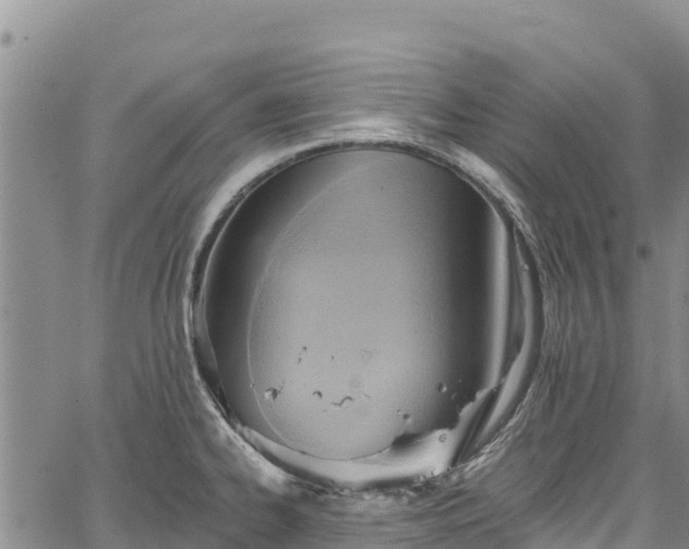 X0000067511334200604101246