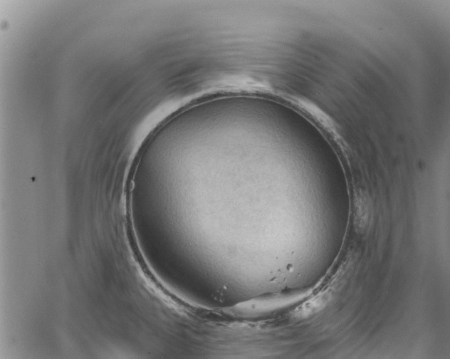 X0000067511335200604101246