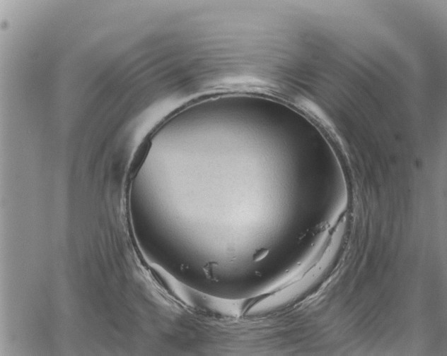 X0000067511336200604101246