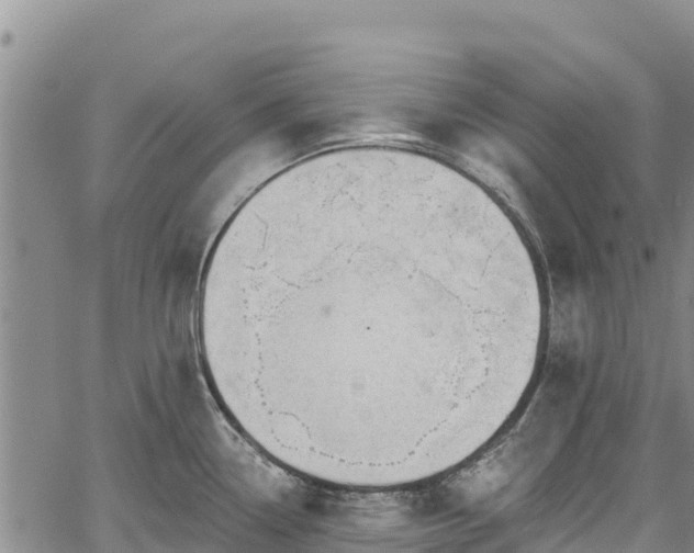 X0000067511338200604101246