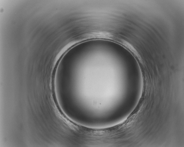 X0000067511339200604101246