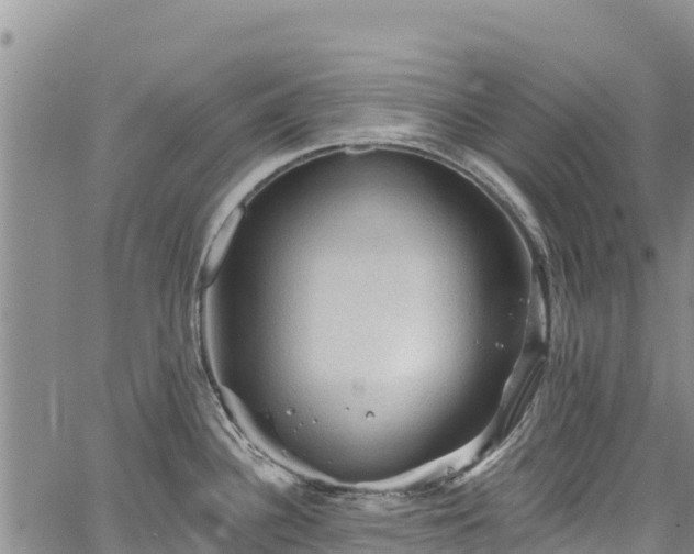 X0000067511340200604101246