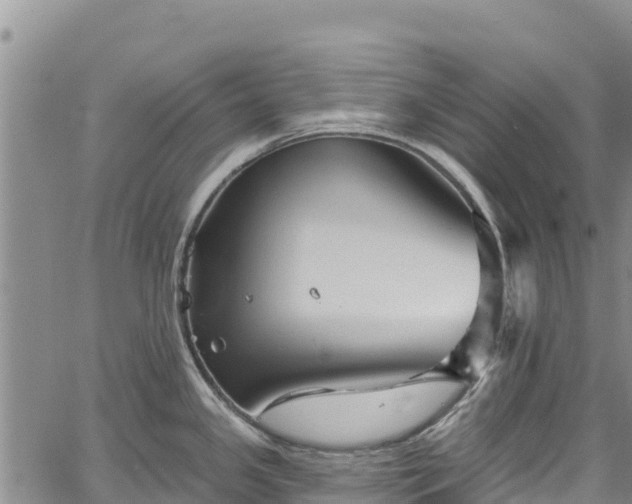 X0000067511341200604101246