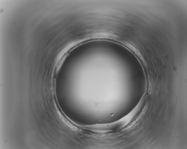 X0000067511342200604101246