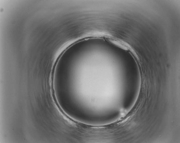 X0000067511343200604101246