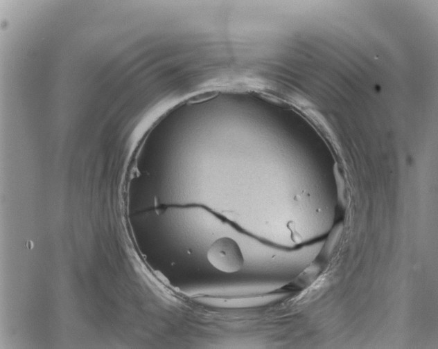 X0000067511344200604101246