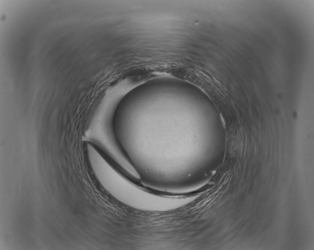 X0000067511345200604101245