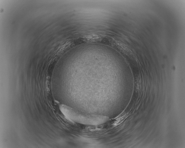 X0000067511346200604101245